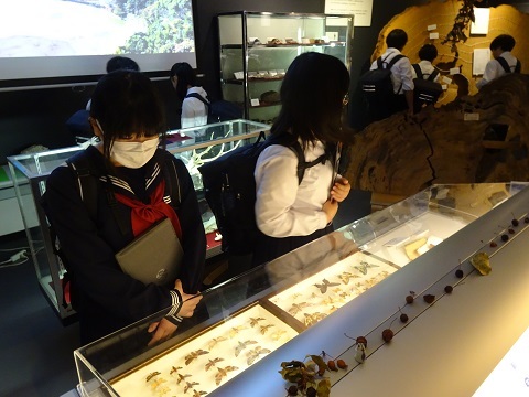 DSC04890.JPG