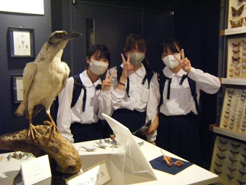 DSCF2648.JPG