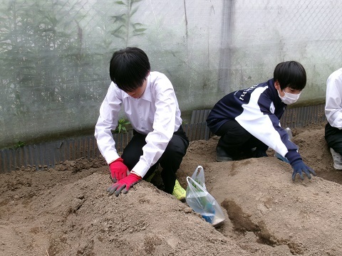 100_0286.JPG
