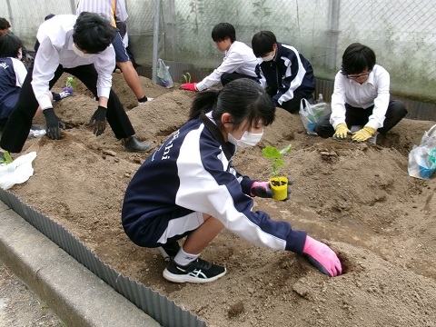 100_0287.JPG
