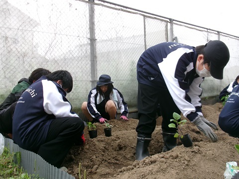 100_0288.JPG