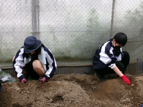 100_0289.JPG