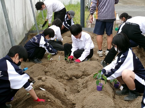 100_0290.JPG