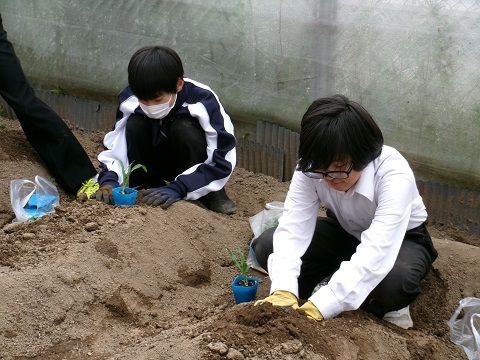 100_0292.JPG