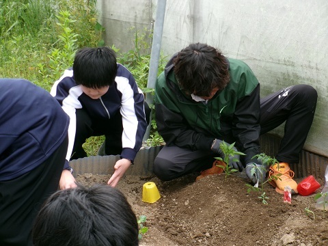 100_0295.JPG