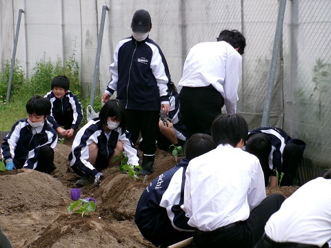100_0296.JPG
