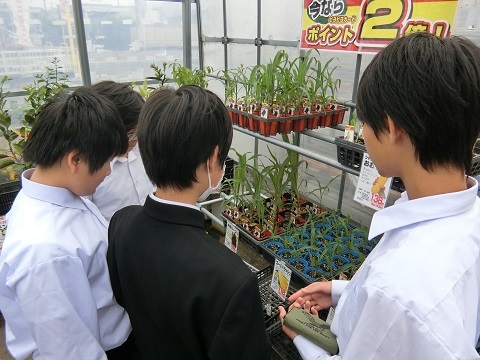 CIMG8820.JPG