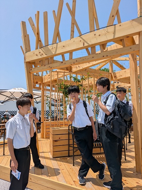 250520231.jpg