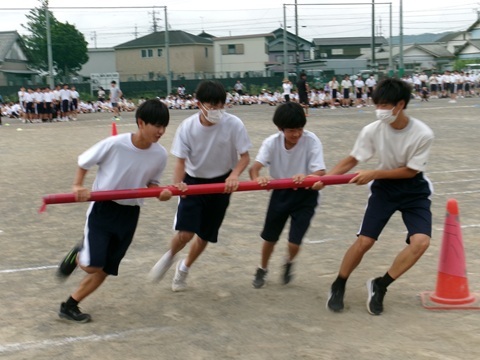 100_0486.JPG