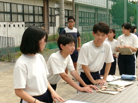 100_0492.JPG