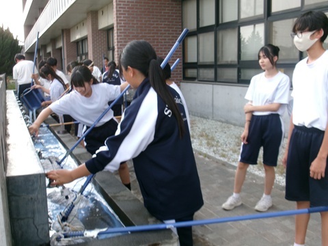100_0733.JPG