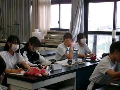 100_0784.JPG