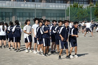 261014010.jpg
