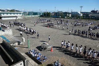 261028001.jpg
