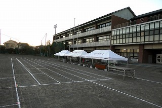 261028004.jpg